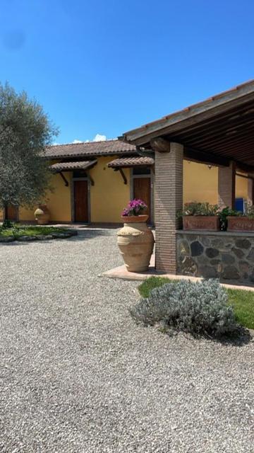Agriturismo Arlena Bolsena Kültér fotó